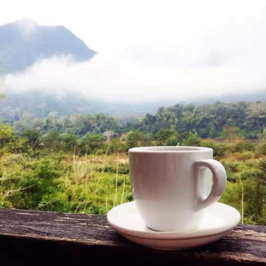 Suanphao Guesthouse Muang Ngoi Buitenkant foto